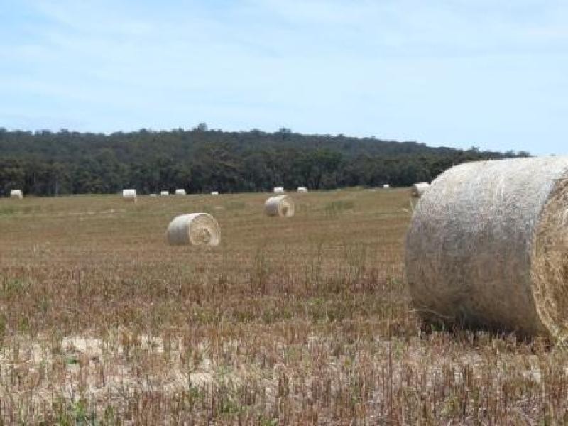 710 Coondle West Rd, Coondle WA 6566