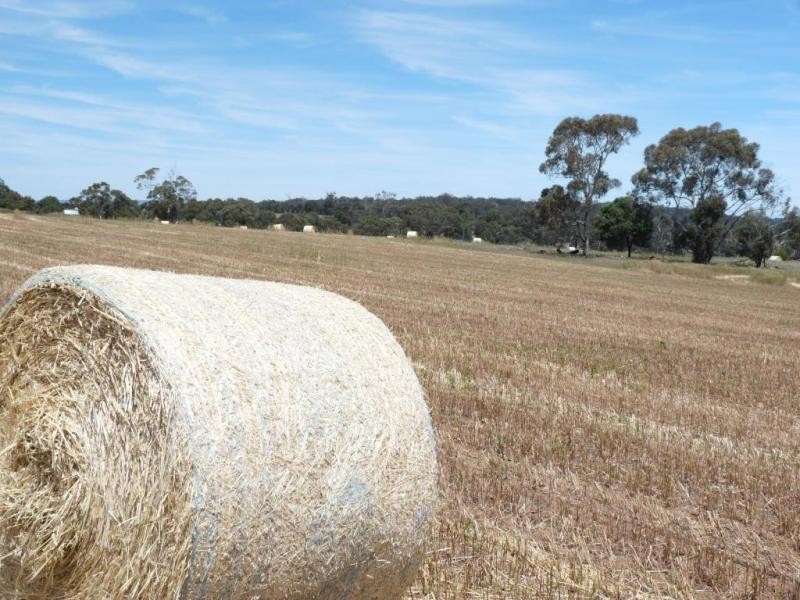 710 Coondle West Rd, Coondle WA 6566