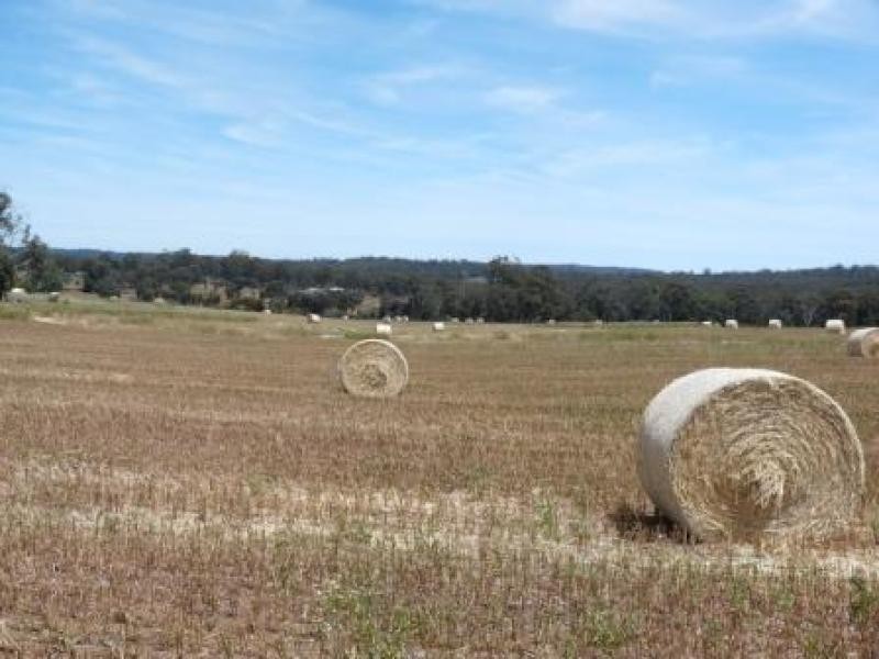 710 Coondle West Rd, Coondle WA 6566