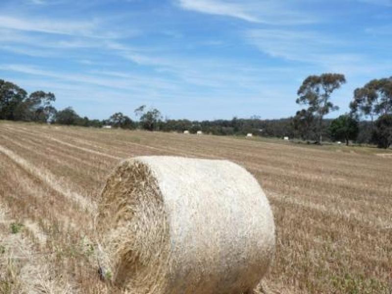 710 Coondle West Rd, Coondle WA 6566