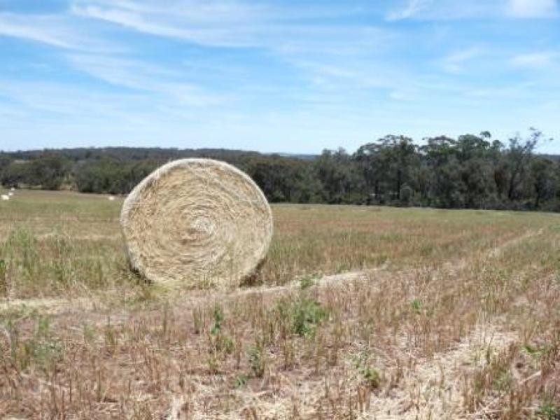 710 Coondle West Rd, Coondle WA 6566