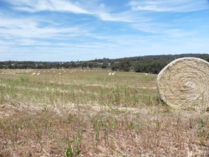 710 Coondle West Rd, Coondle WA 6566