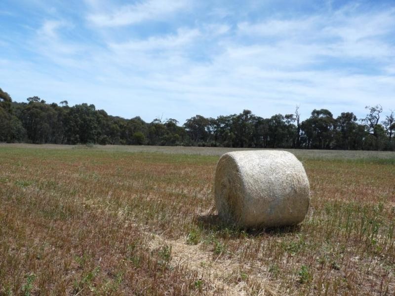 710 Coondle West Rd, Coondle WA 6566