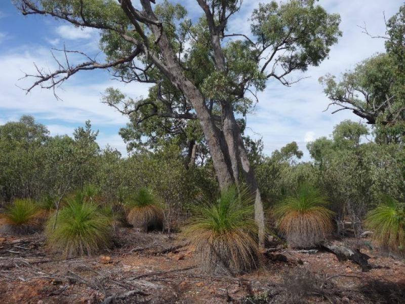 710 Coondle West Rd, Coondle WA 6566