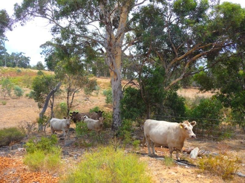 Lot 3 Keating Rd, Chittering WA 6084