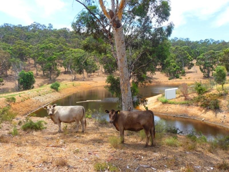 Lot 3 Keating Rd, Chittering WA 6084