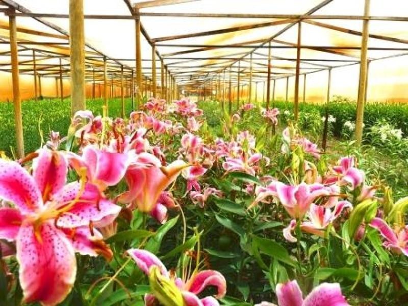 100 Dooling Road, Neergabby WA 6503