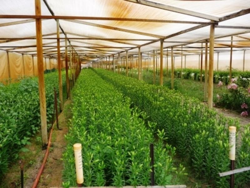 100 Dooling Road, Neergabby WA 6503