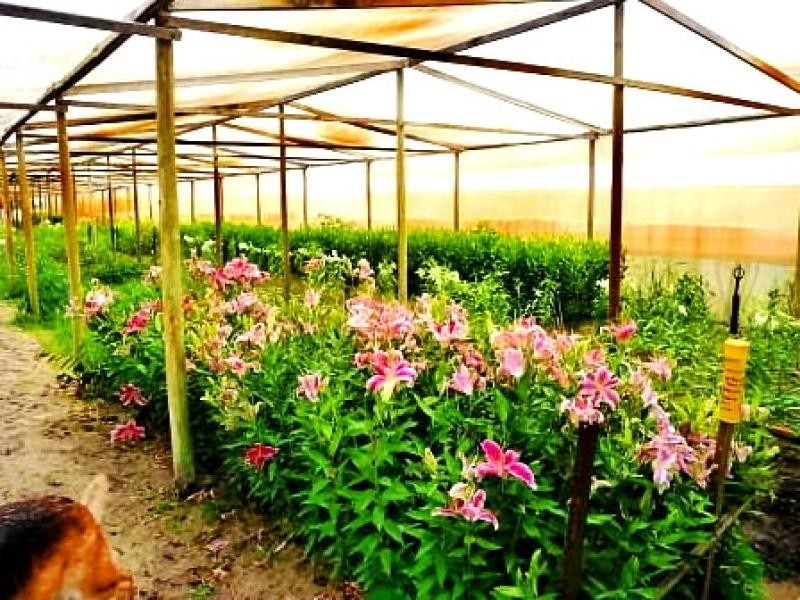 100 Dooling Road, Neergabby WA 6503