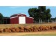 54 Ashmere Drive, Bullsbrook WA 6084