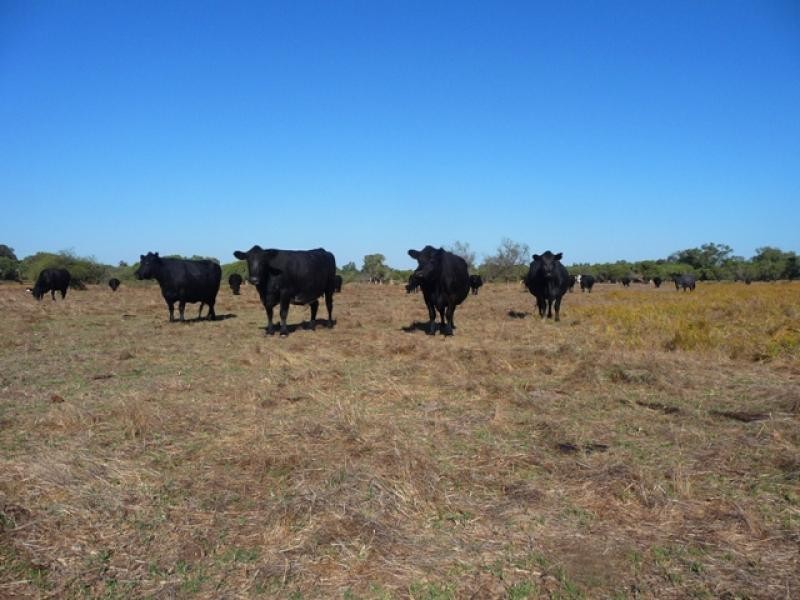 785 Jocks Ave, Beermullah WA 6503