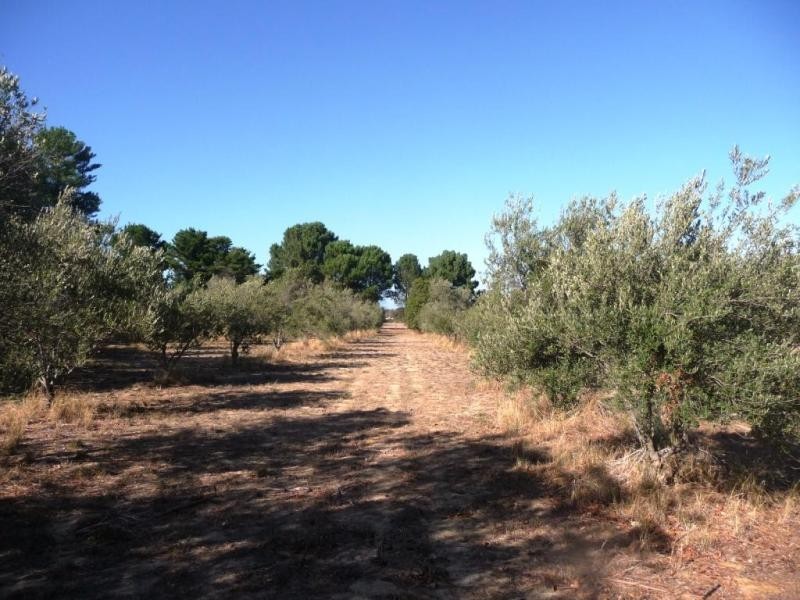 72 Kimberley Street, Bullsbrook WA 6084