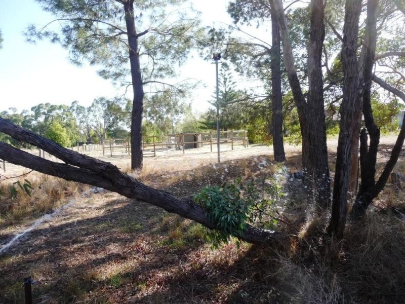 72 Kimberley Street, Bullsbrook WA 6084