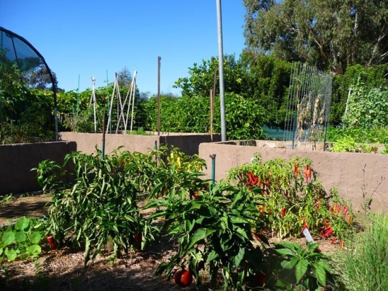 46 Heffron Way, Gabbadah WA 6041