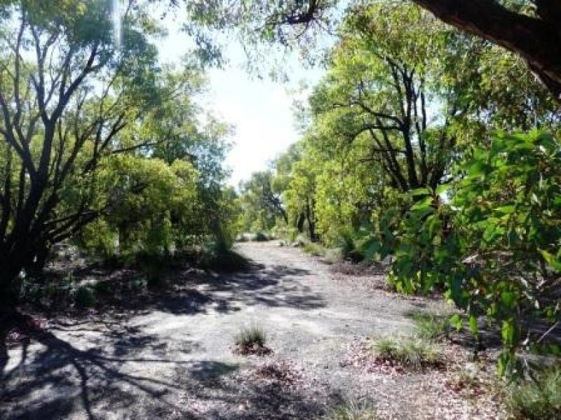 40 Pipe Lily Way, Chittering WA 6084
