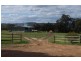 24 Heaslane Ct, Bullsbrook WA 6084
