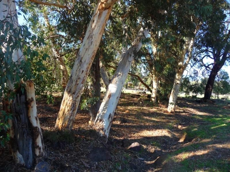 Lot 303 Leschenaultia Dve, Chittering WA 6084