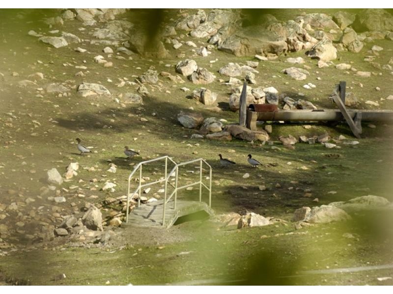 282 Clarkson Road, Bullsbrook WA 6084