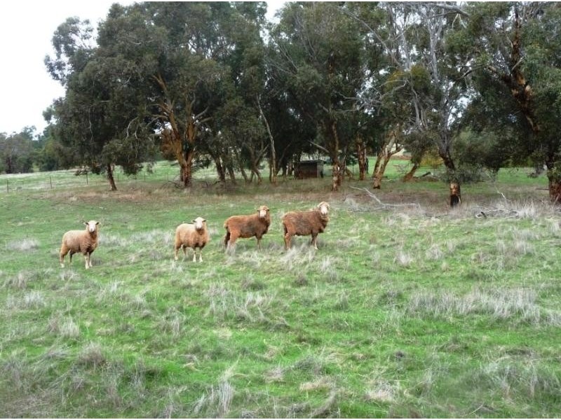 165 Gray Road, Bindoon WA 6502