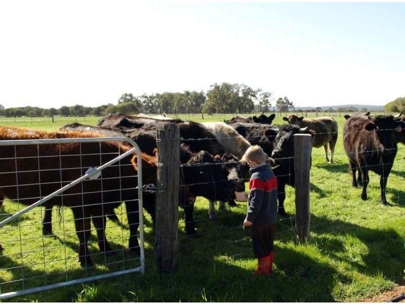 124 Nolan Rd, Muchea WA 6501