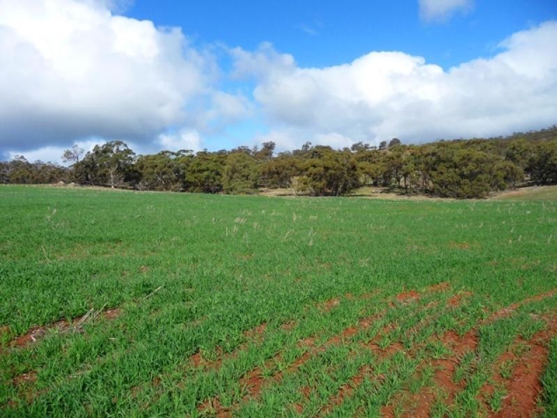 435 Wells Glover Rd, Bindoon WA 6502