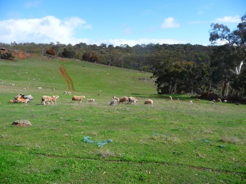 435 Wells Glover Rd, Bindoon WA 6502