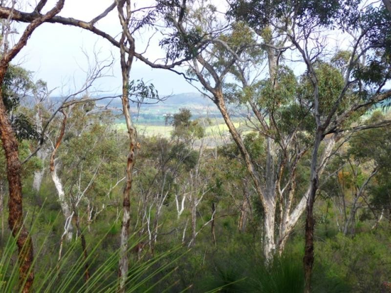 435 Wells Glover Rd, Bindoon WA 6502