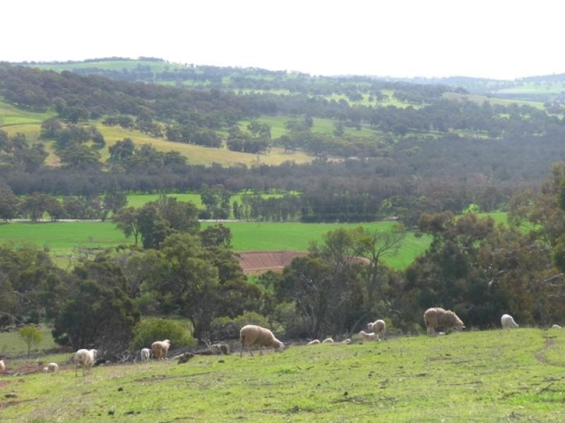 435 Wells Glover Rd, Bindoon WA 6502