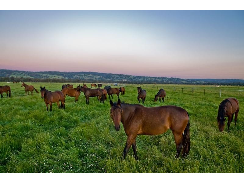 42 Stock Road, Bullsbrook WA 6084