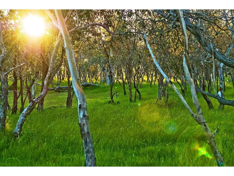 42 Stock Road, Bullsbrook WA 6084