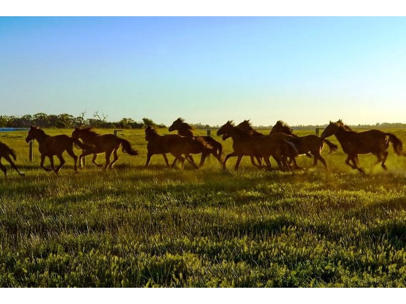 42 Stock Road, Bullsbrook WA 6084