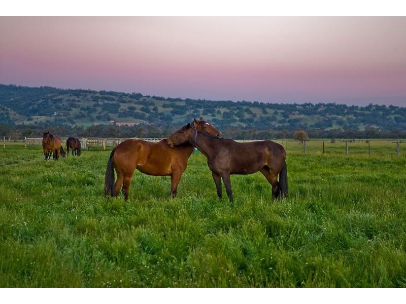 42 Stock Road, Bullsbrook WA 6084