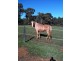 182 Ashmere Drive, Bullsbrook WA 6084