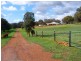 182 Ashmere Drive, Bullsbrook WA 6084