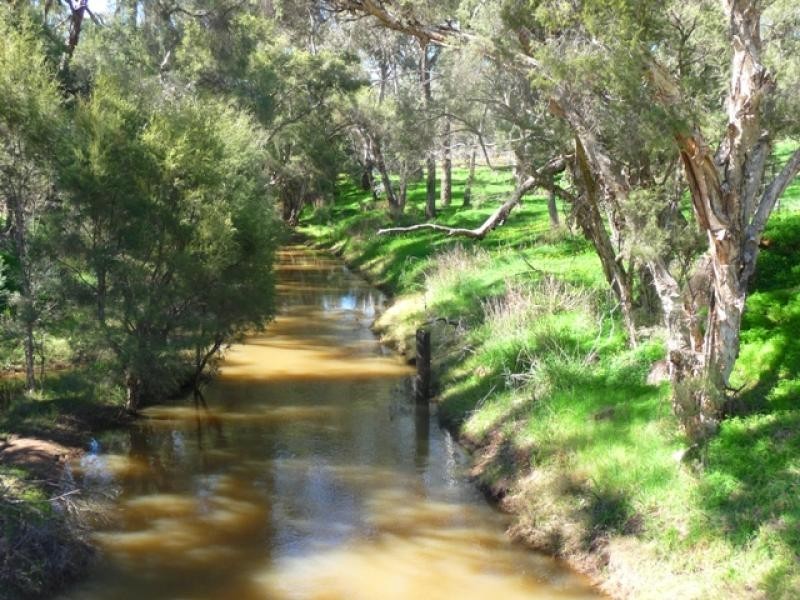 34 and 111 Chittering Valley Rd, Lower Chittering WA 6084 the real