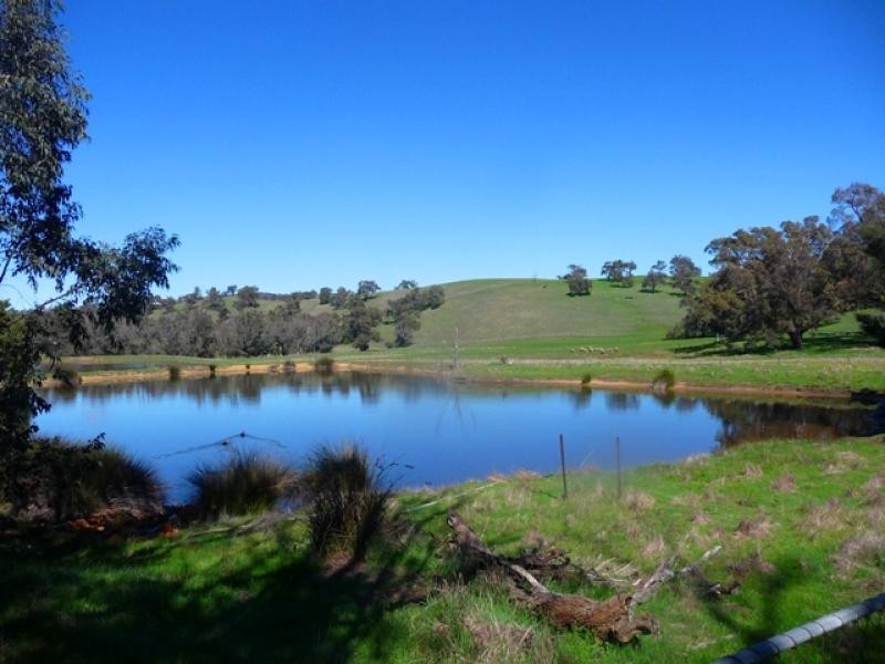 34 and 111 Chittering Valley Rd, Lower Chittering WA 6084 the real