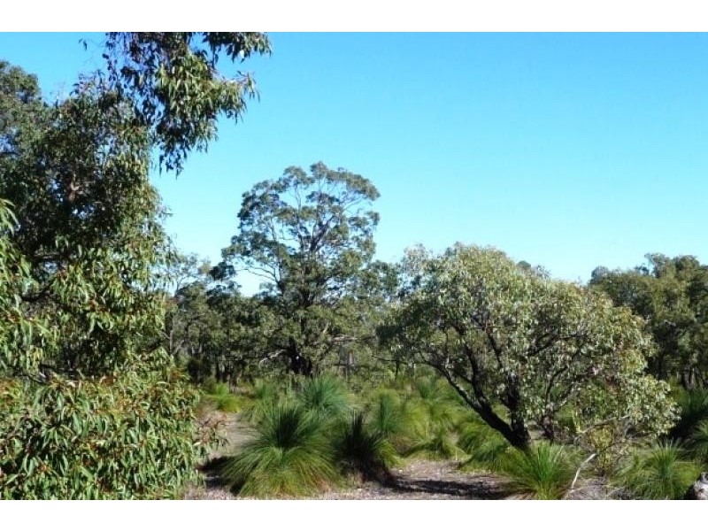81 Blue Squill Drive, Lower Chittering WA 6084