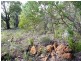 81 Blue Squill Drive, Lower Chittering WA 6084