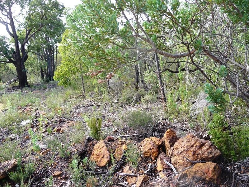 81 Blue Squill Drive, Lower Chittering WA 6084