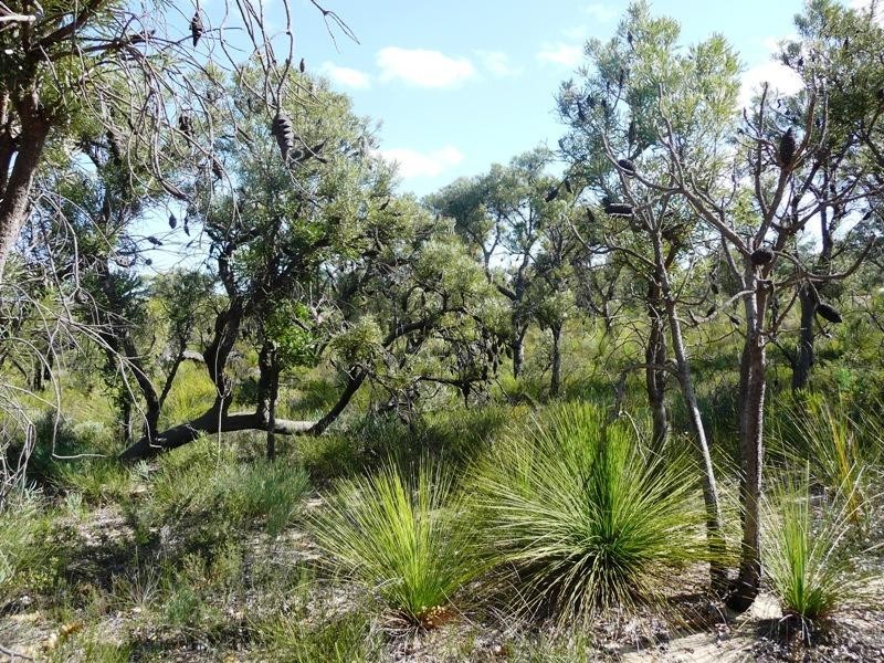Lot 886 Rosewood Dve, Chittering WA 6084