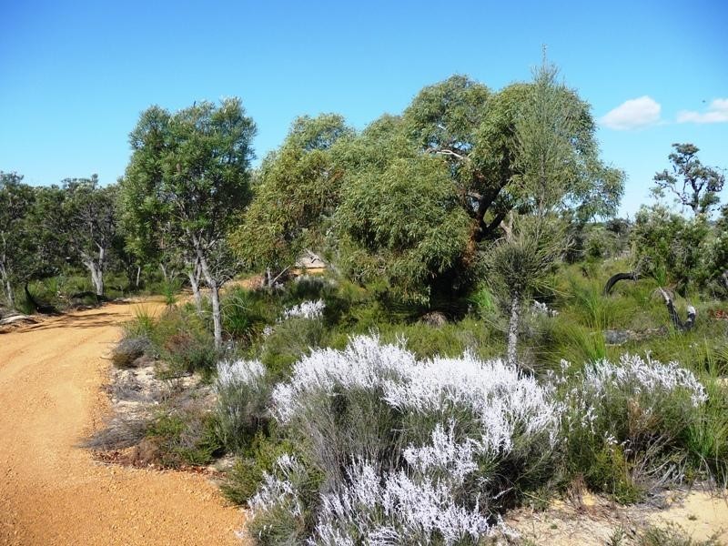 Lot 886 Rosewood Dve, Chittering WA 6084
