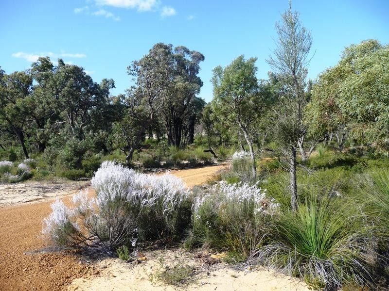 Lot 886 Rosewood Dve, Chittering WA 6084