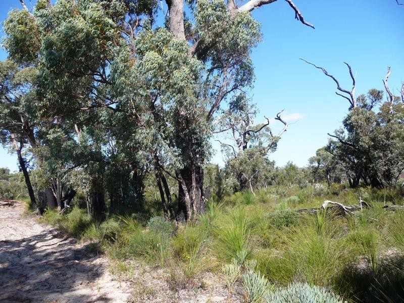 Lot 886 Rosewood Dve, Chittering WA 6084