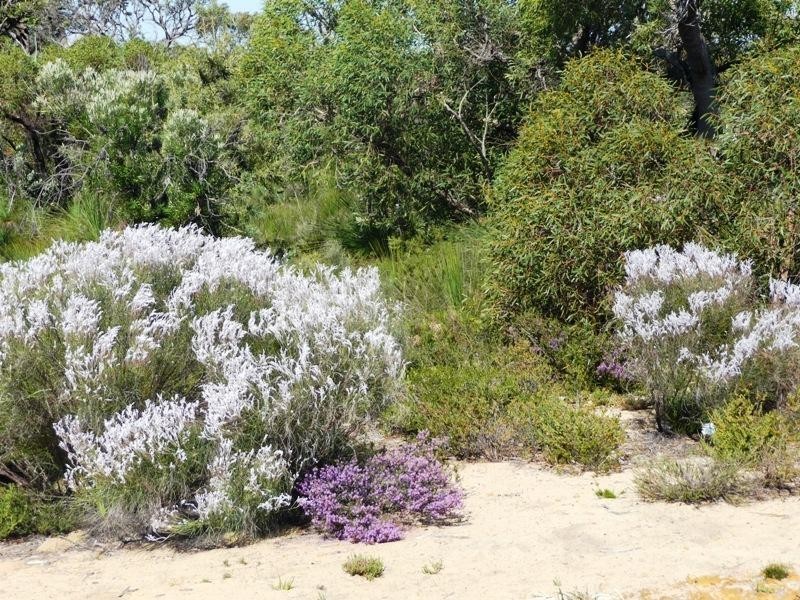 Lot 886 Rosewood Dve, Chittering WA 6084