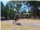 12 Ruslane Rise, Bullsbrook WA 6084