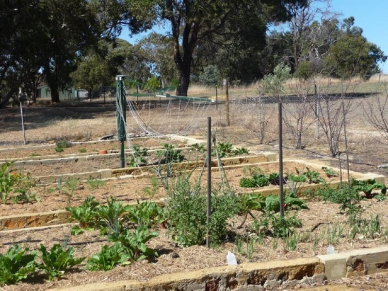 55 Arborfield Way, Bullsbrook WA 6084