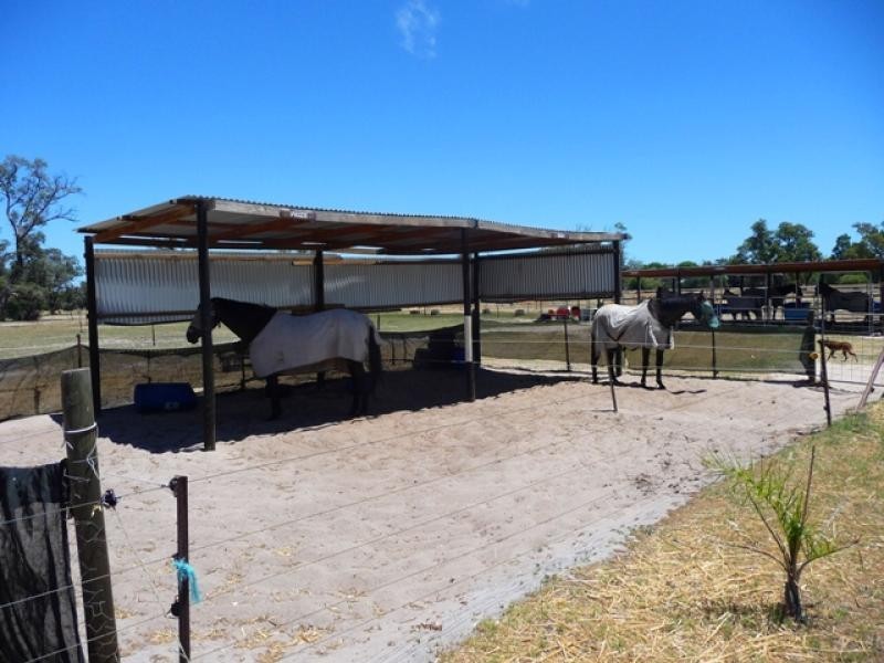 159 Timaru Rd, Muchea WA 6501