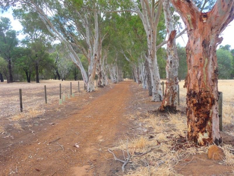 691 Chittering Valley Rd, Lower Chittering WA 6084