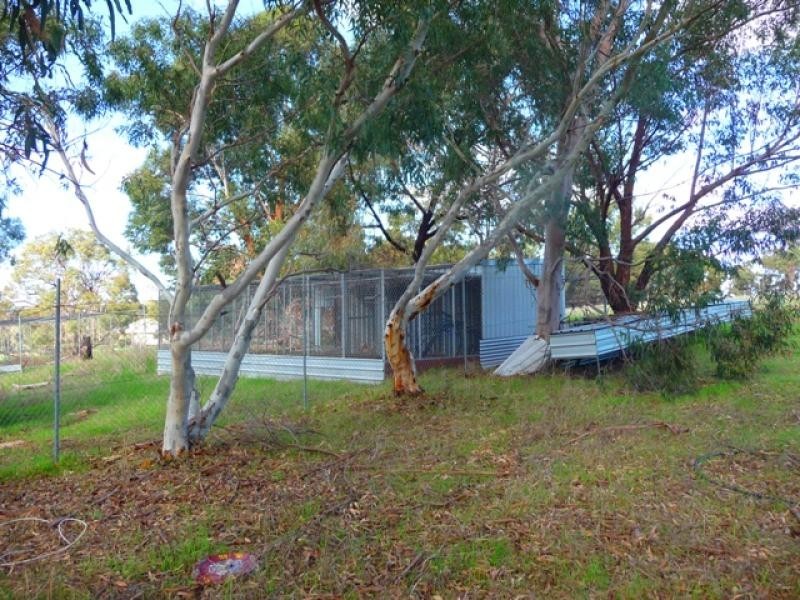 17 Rhys Rd, Bullsbrook WA 6084