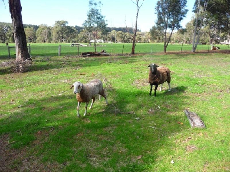 17 Rhys Rd, Bullsbrook WA 6084